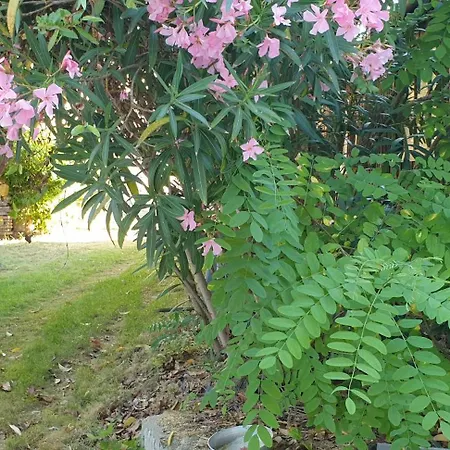 La Petite Bicoque Au Fond Du Jardin Ferienhaus