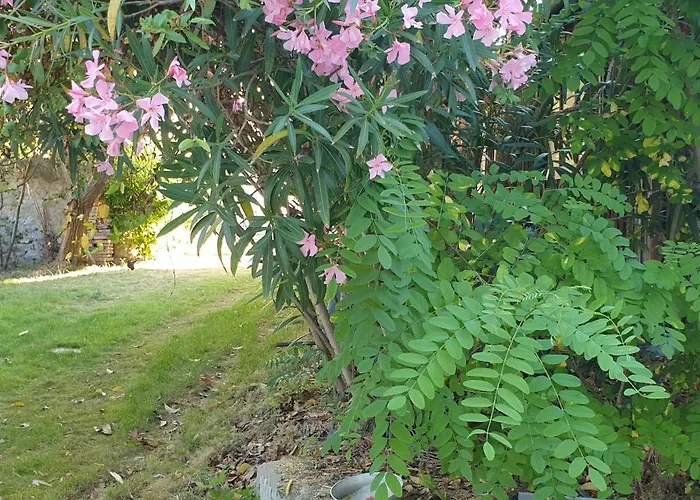 La Petite Bicoque Au Fond Du Jardin Сasa de vacaciones